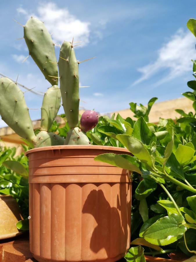 B&B Scogli Bianchi Lido di Noto Zewnętrze zdjęcie